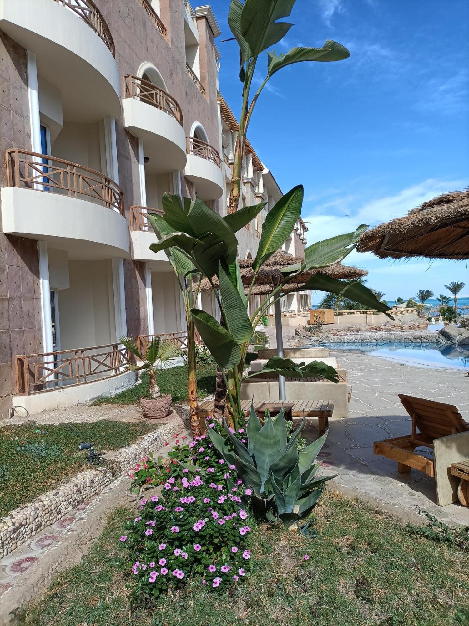 Appartamento Tony'S Privy Beds By Red Sea Hurghada Esterno foto